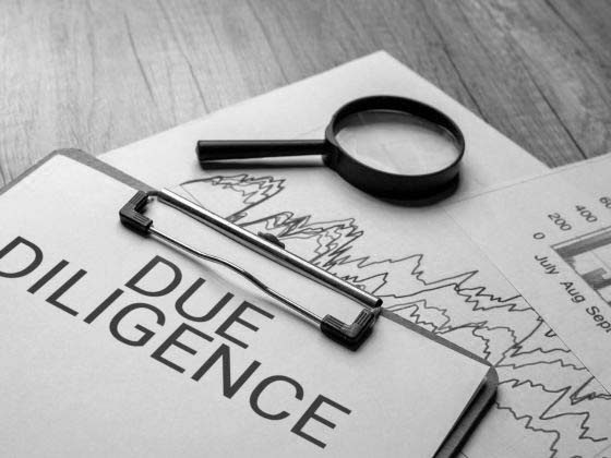 Due Diligence