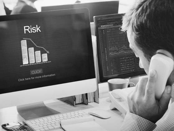 Enterprise Risk Management (ERM)