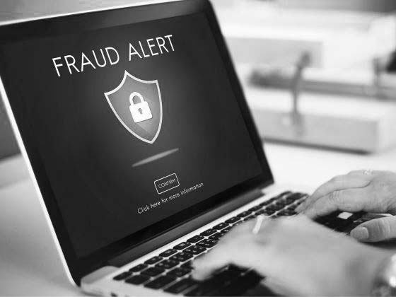 Fraud Risk Management (FRM)