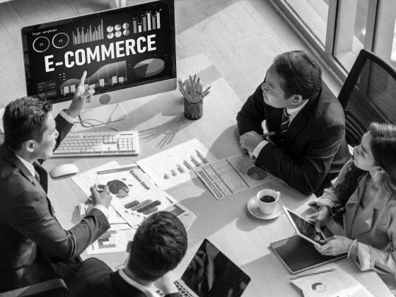 Ecommerce Development